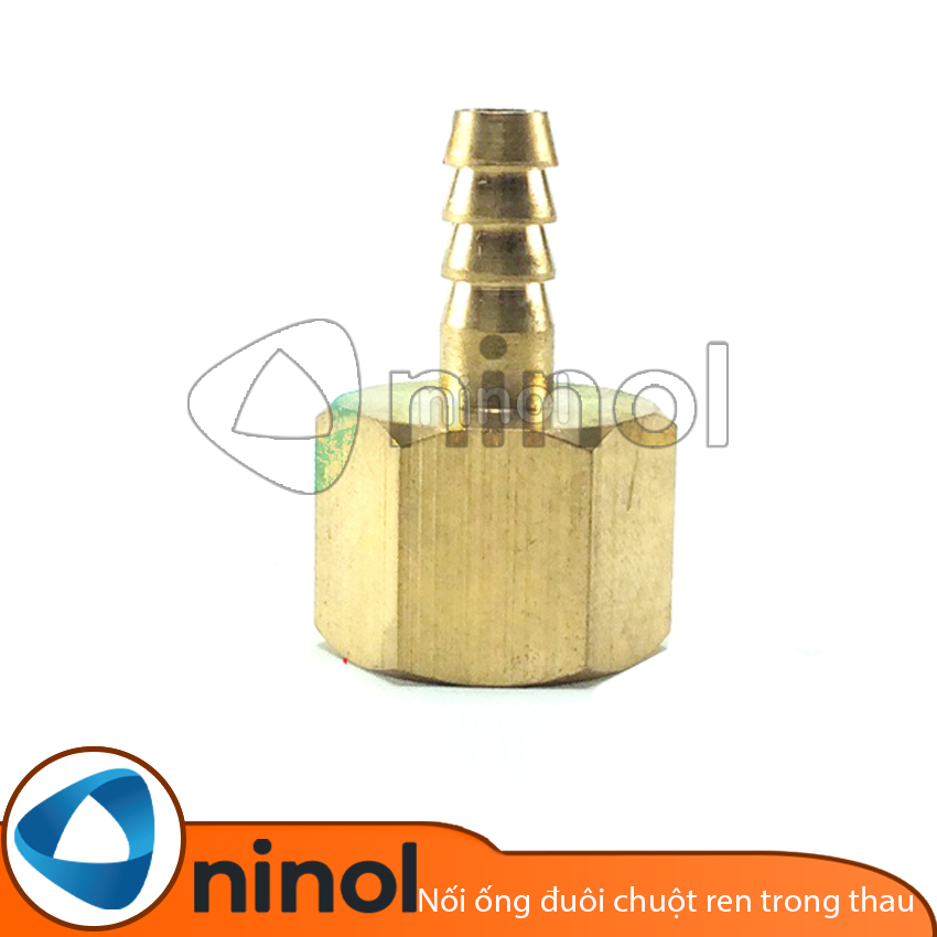 Nối thau đuôi chuột ren trong