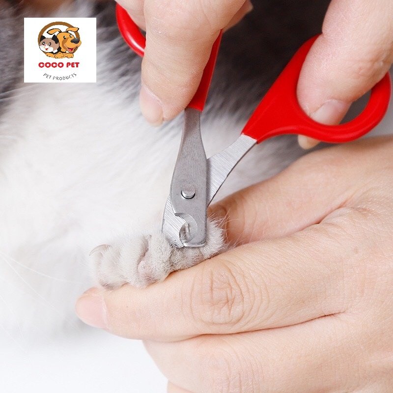 Kìm/Kéo Bấm Móng Mini Cho Chó Mèo Thú Cưng