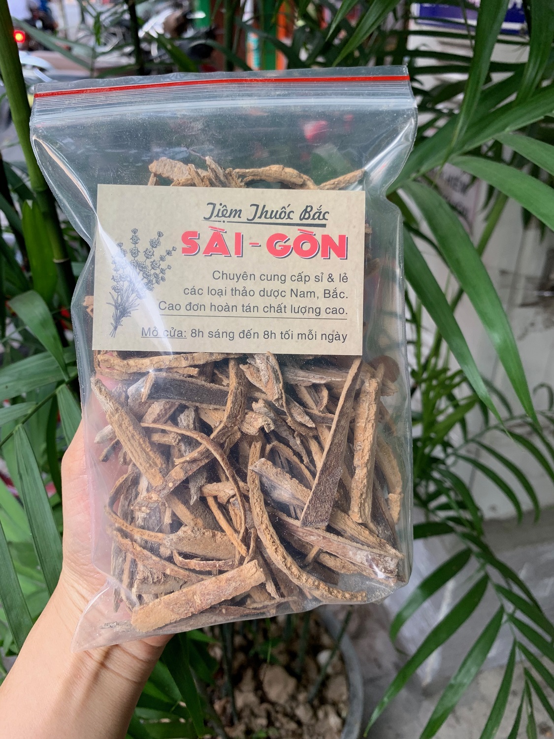 [HCM]BẠCH DƯƠNG BÌ 100GRAM Tiệm Th.uốc Bắc Sài Gòn
