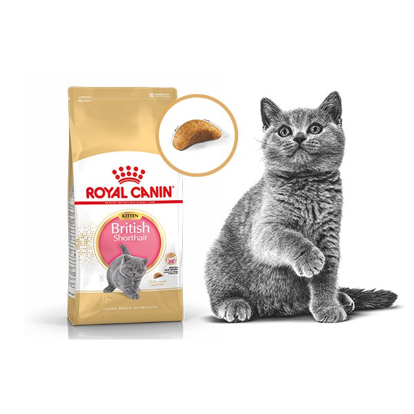 [giao2h pettohouse gò vấp] thức ăn cho mèo con Royal Canin British shorthair kitten 2kg hạt khô sản xuất tại pháp cho mèo anh lông ngắn dưới 12 tháng tuổi