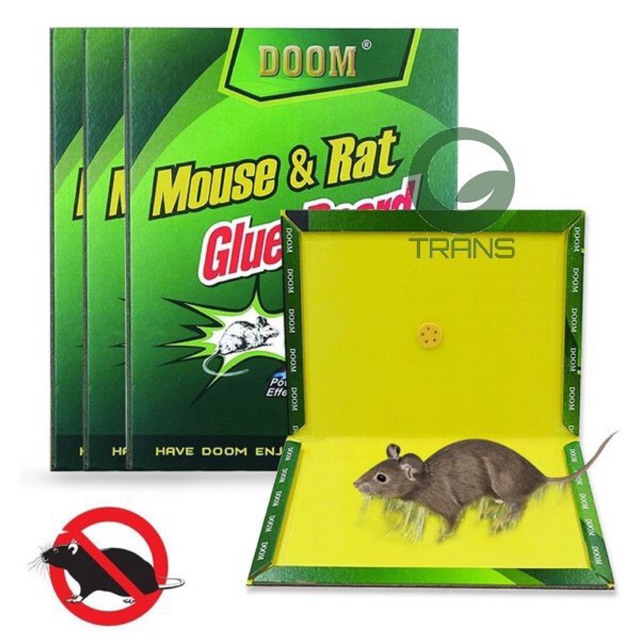 Bẫy Keo Dính Chuột cao cấp Mouse & Rat Glue Traps Siêu Dính diệt chuột côn trùng siêu tốt có thể tái sử dụng