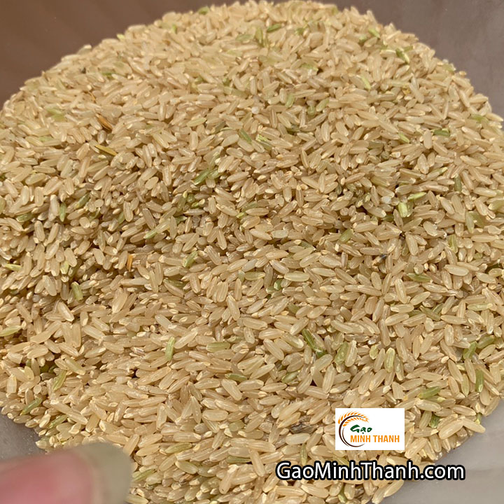 Gạo Lứt Nguyên Cám (Túi 1kg)