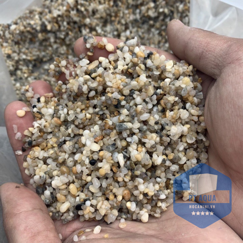 Sỏi nền hồ cá , sỏi muối tiêu trang trí hồ cá