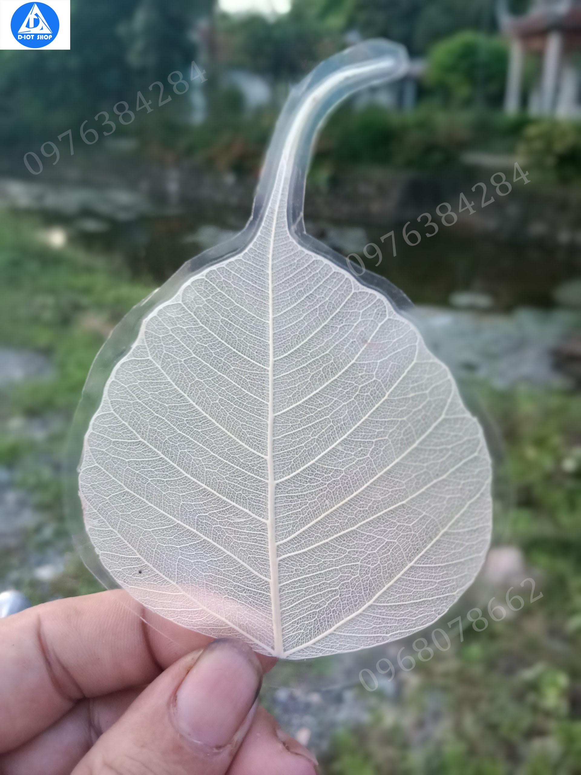 Lá bồ đề ép plastic ốp điện thoại