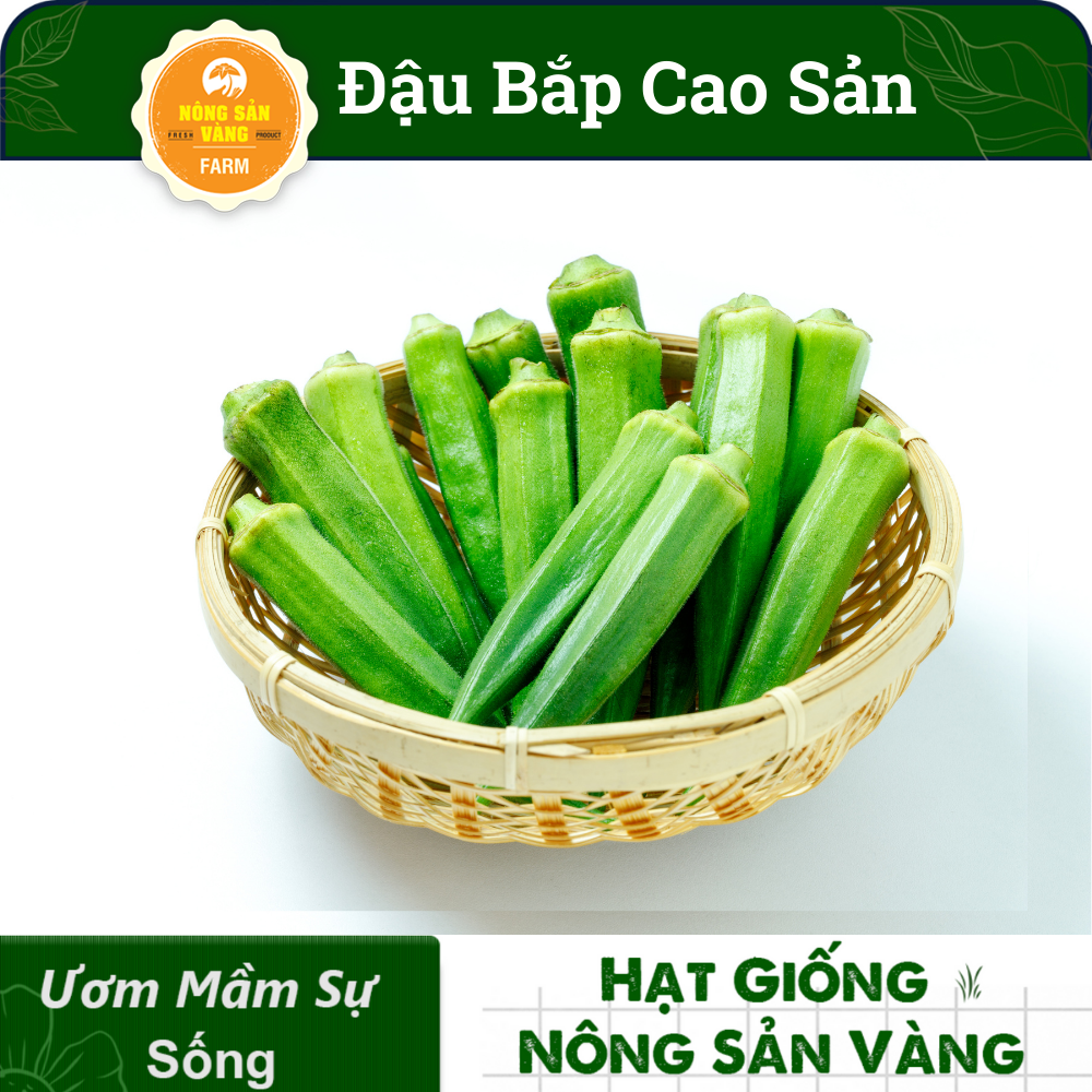 Okra Seed High Output (package 20 grams)-shallow gold