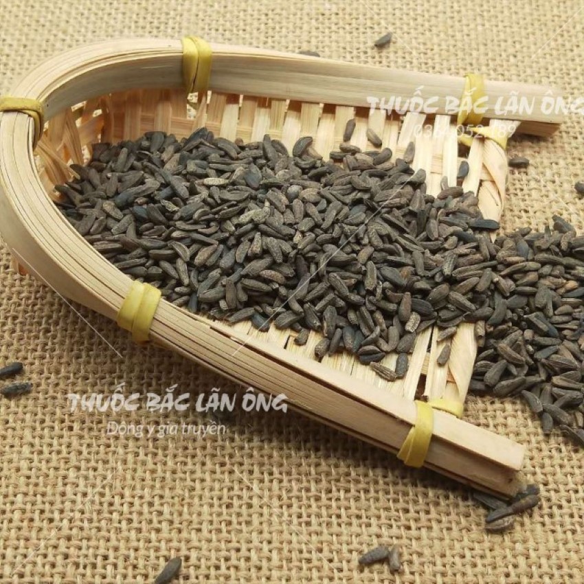 Ngưu Bàng Tử 500g