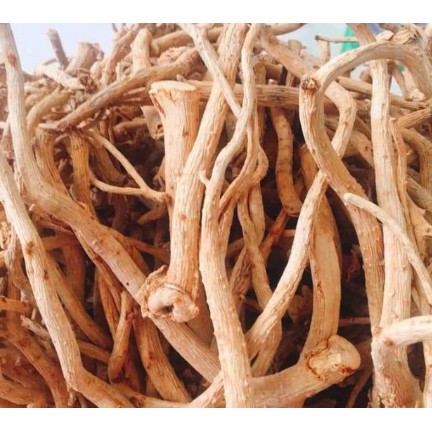 1kg rễ đinh lăng nếp khô ( rễ đinh lăng khô củ đinh lăng khô) hàng looại 1