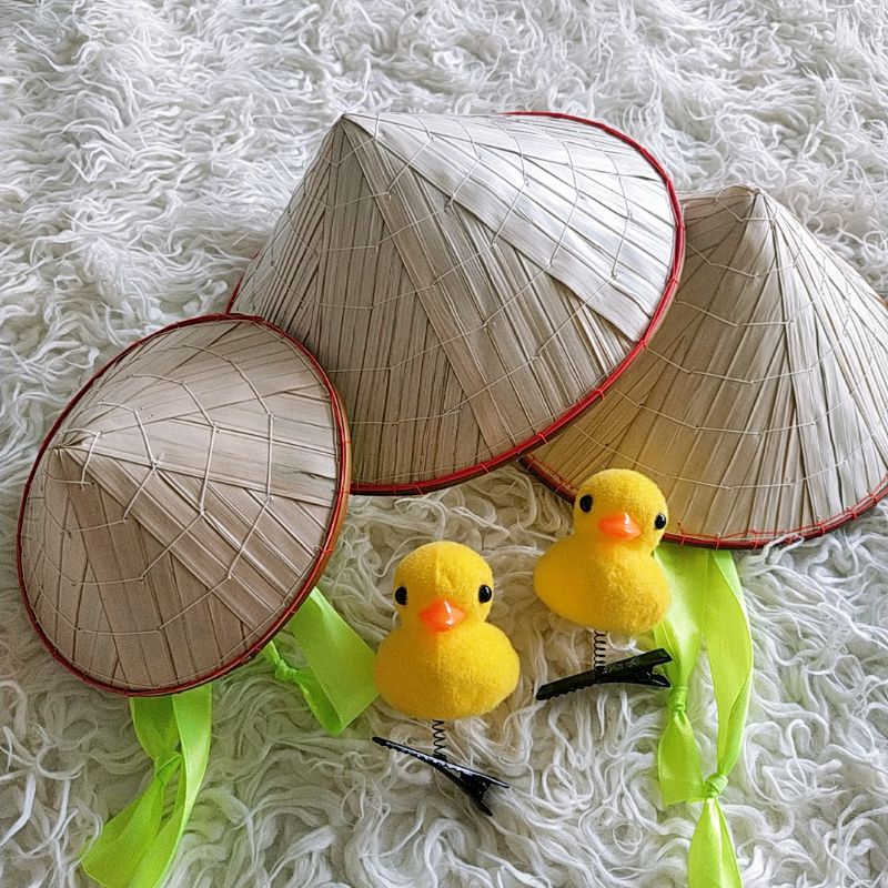 Nón lá Việt Nam cho thú cưng chó mèo