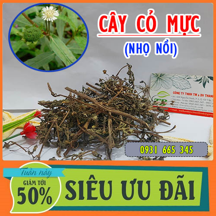Cây Cỏ Mực Khô Hàng Cty Loại Cao Cấp 100G - Đông Y Thanh Bình