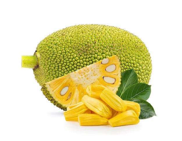 Phân bón Vigami Kami Dưỡng Trái Mít 500ml