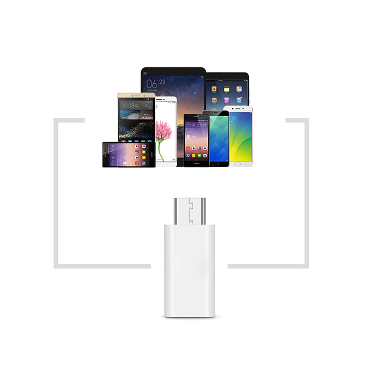 Đầu Chuyển Đổi USB Type C 3.0 Sang Micro USB