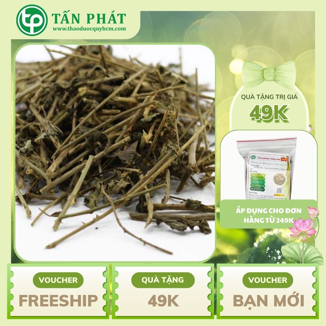 Cà gai leo khô 500g - Hỗ trợ thanh nhiệt và giải độc - Làm mát cơ thể - Hàng sạch xanh giá tốt - Thảo Dược Tấn Phát