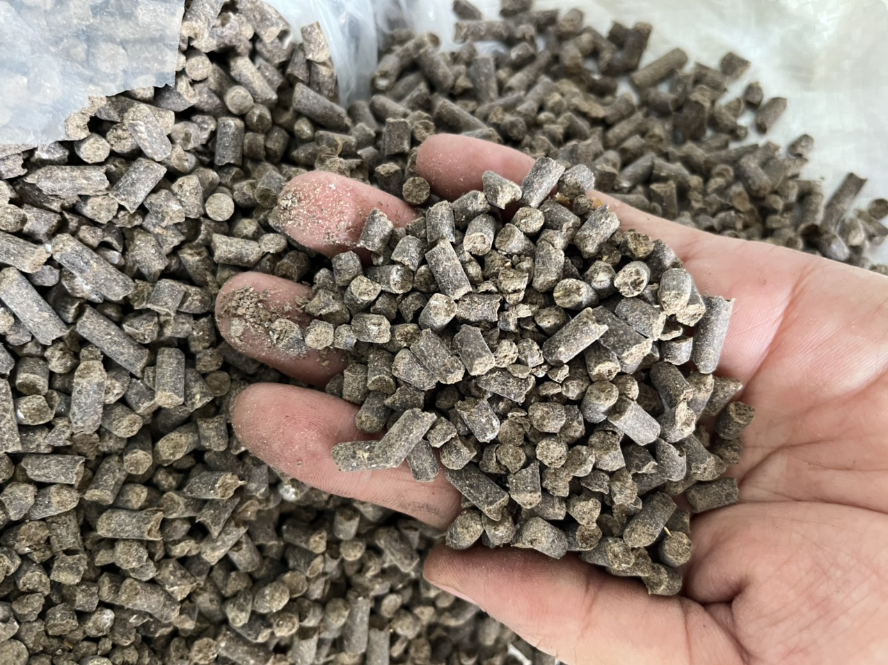 Phân hữu cơ FERTIPLUS viên nở Hà Lan gói 1kg