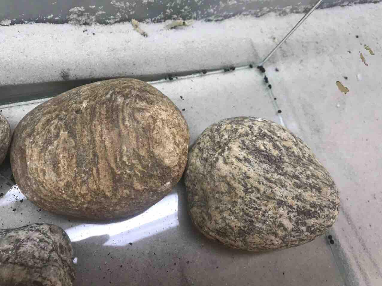 1kg đá cuội vân mây