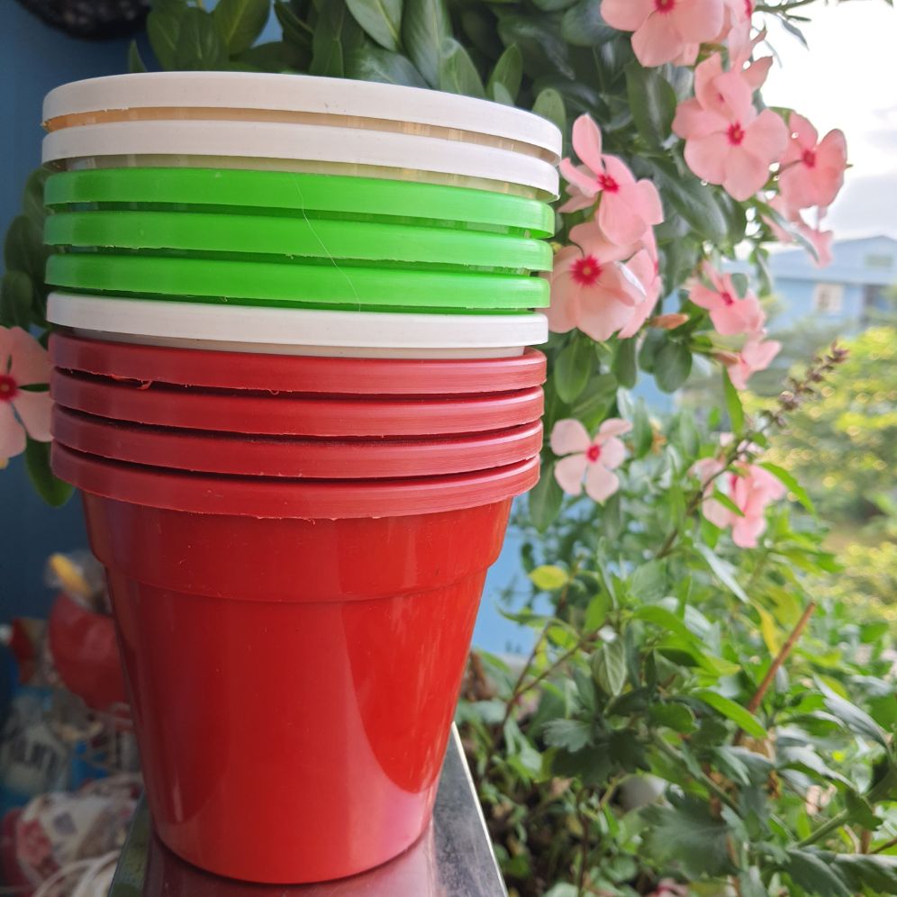 bán sỉ combo 10 chậu trồng cây 12x11cm