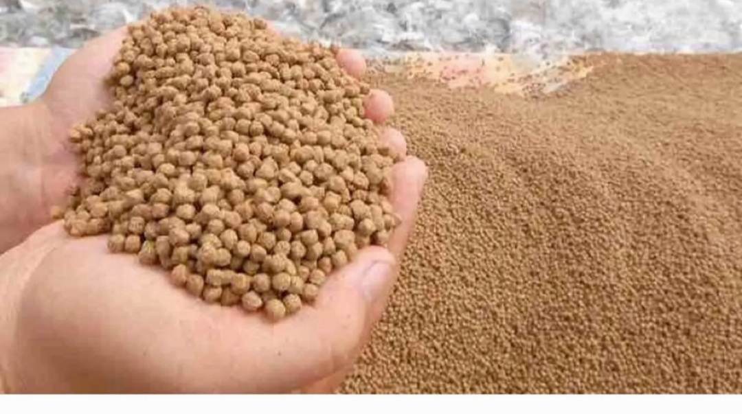 1kg cám hà lan viên 7118 hạt 8li và 10 li hoặc xay sẵn