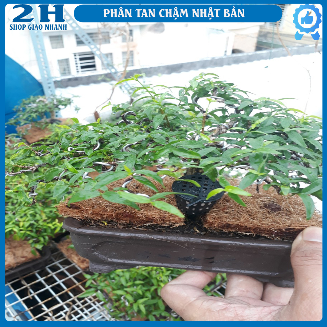 200gr phân tan chậm 14-13-13 kèm 10 giỏ đựng phân