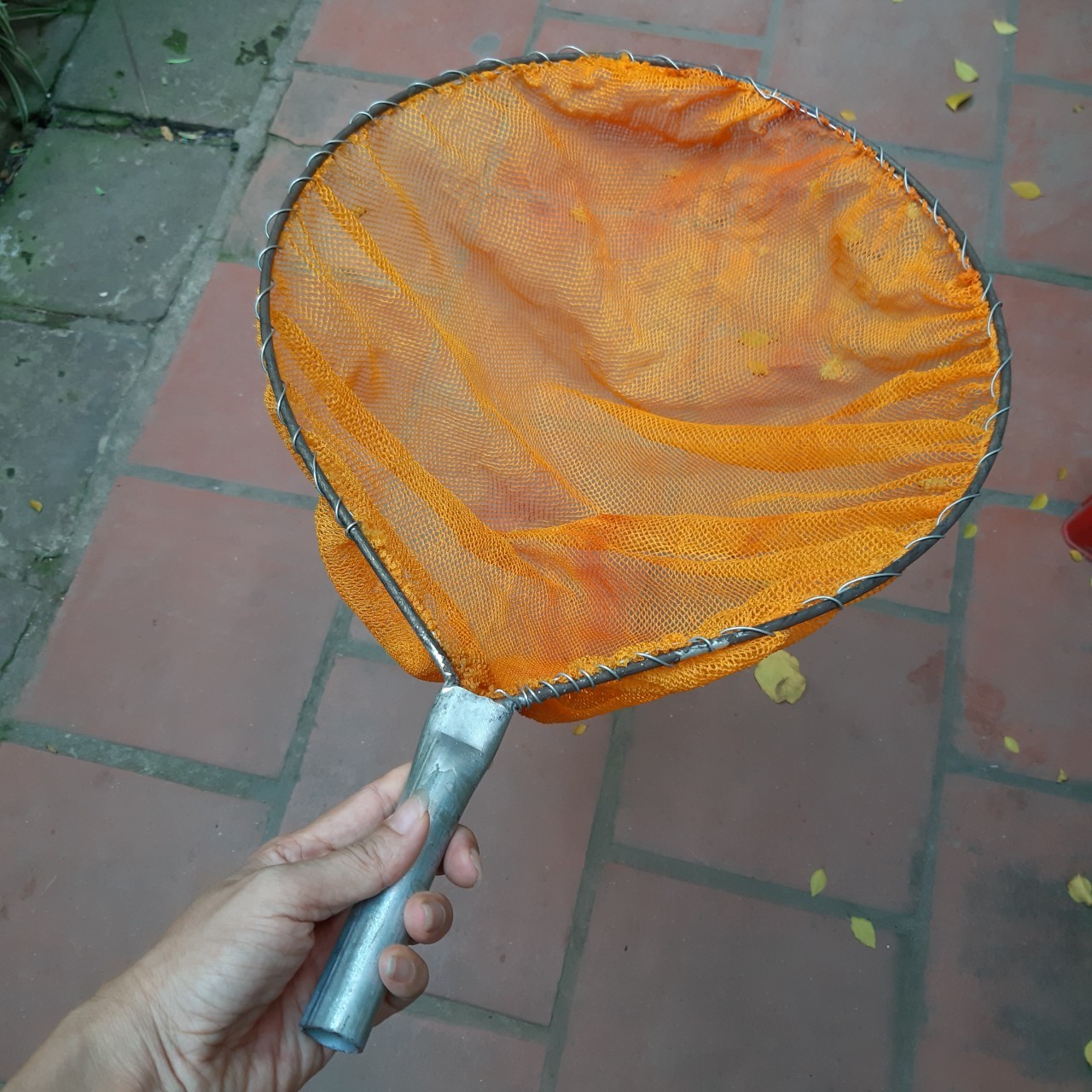 Câu cá vợt tôm,tép - vợt tôm