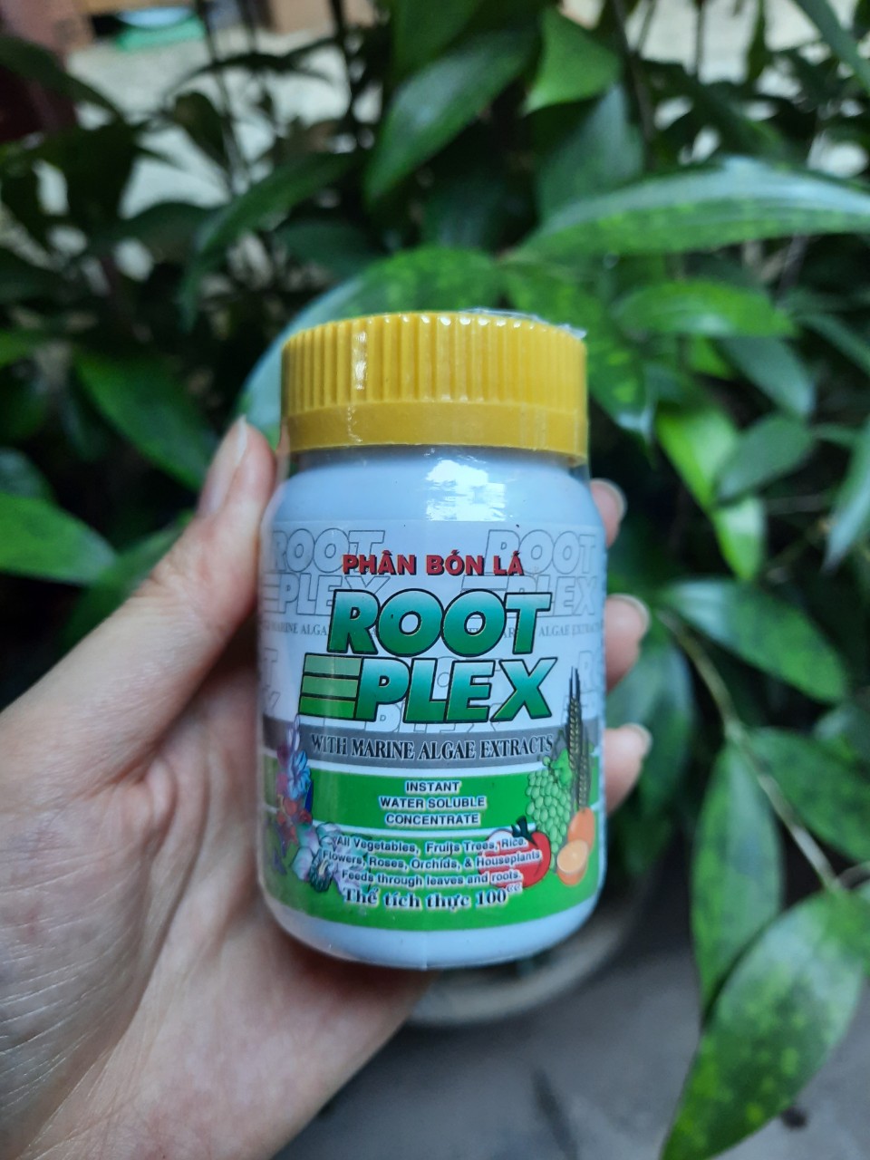 Phân bón lá hữu cơ Root Plex "Rong biển" loại 100ml