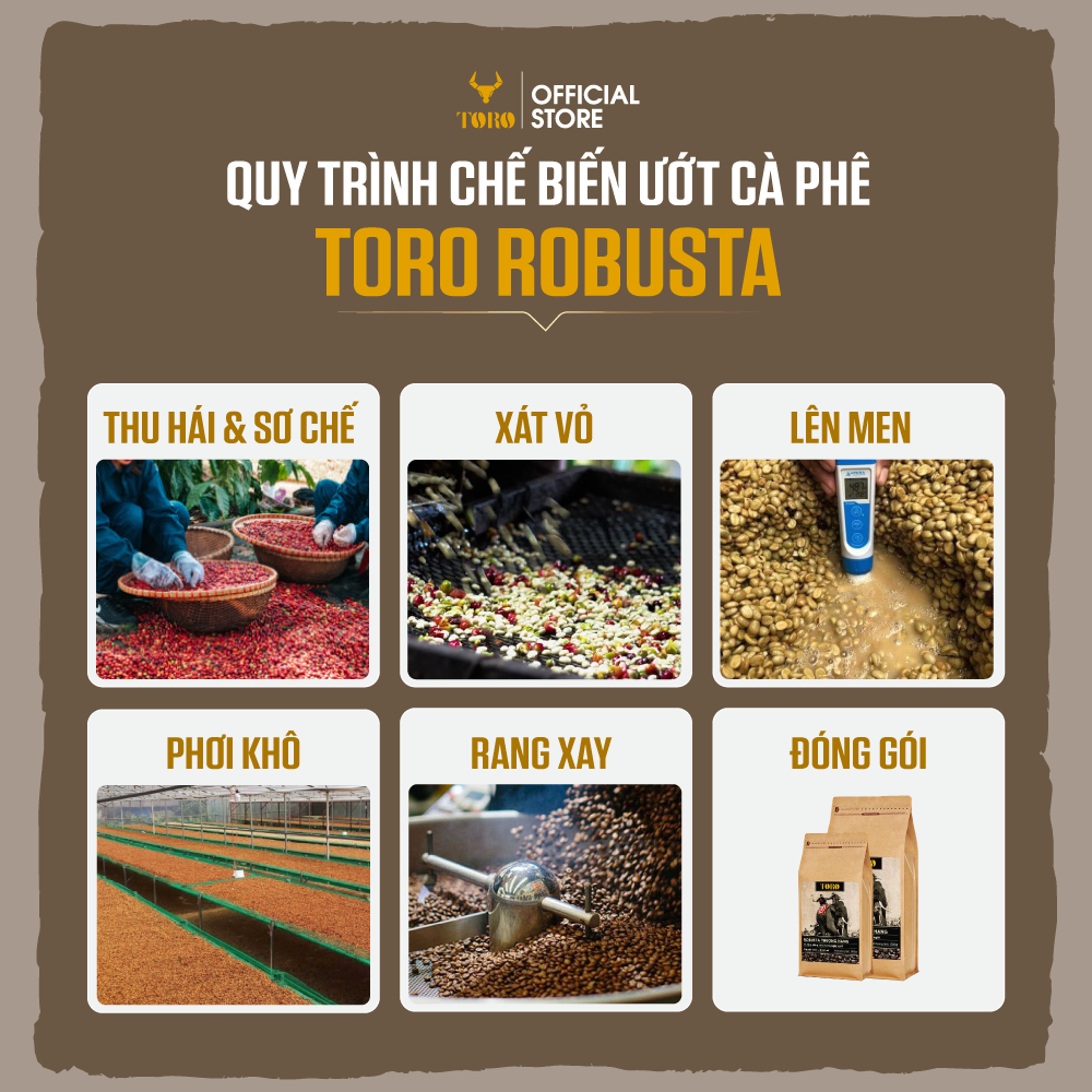 [500GR] Cà Phê Hạt Toro Robusta Thượng Hạng Nguyên Chất 100% | TORO FARM