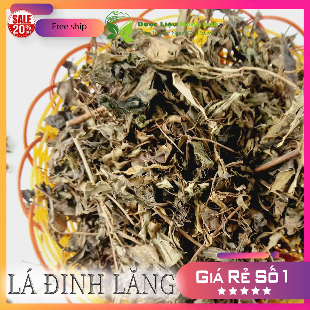 [FreeshipMAX] [HCM]Lá Đinh Lăng khô 1kg