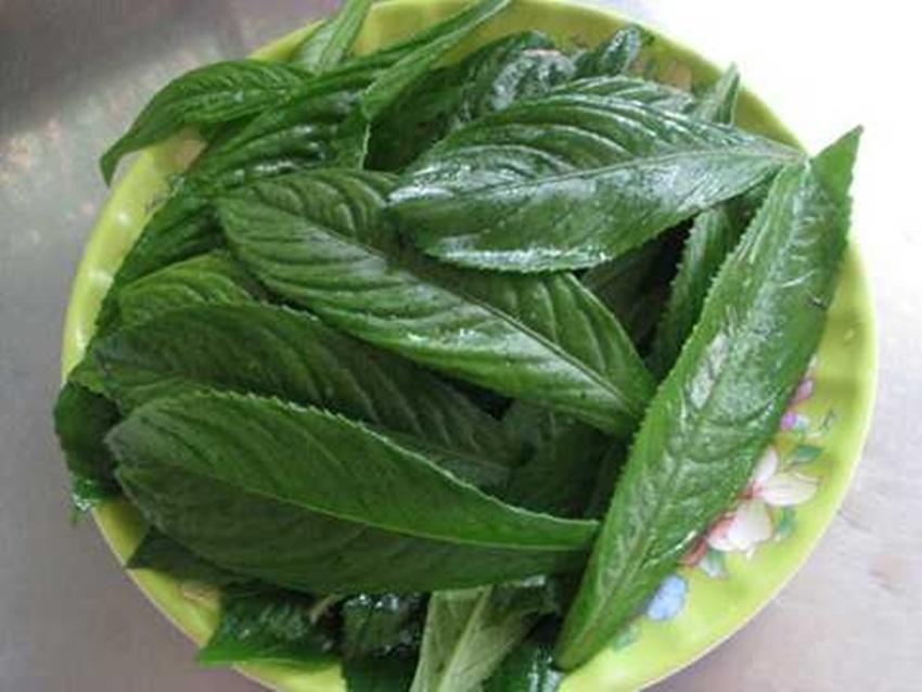HẠT GIỐNG XƯƠNG SÔNG