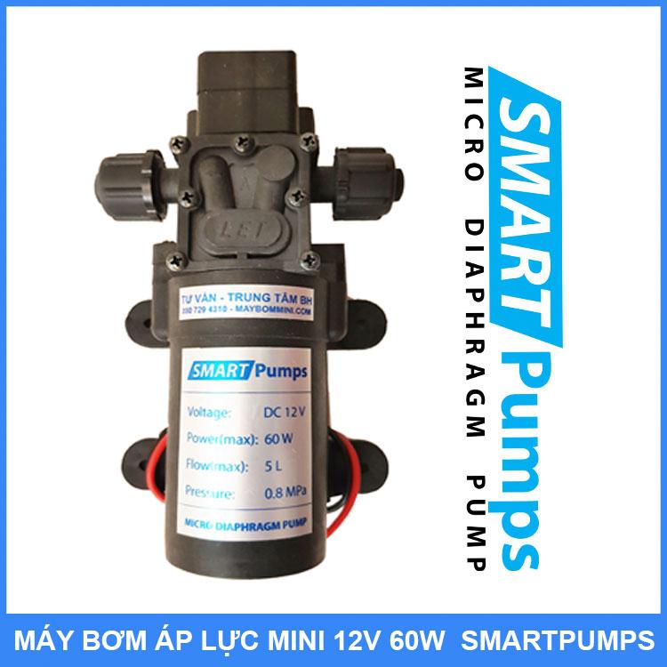 Máy Rửa Xe Mini 12V 60W Béc Xịt – Option 3
