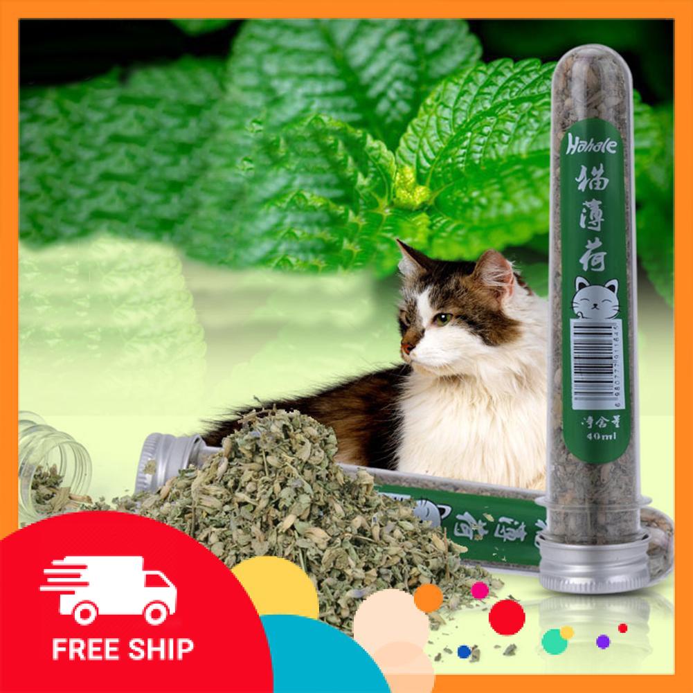 Catnip - Ống Cỏ Bạc Hà Cho Mèo