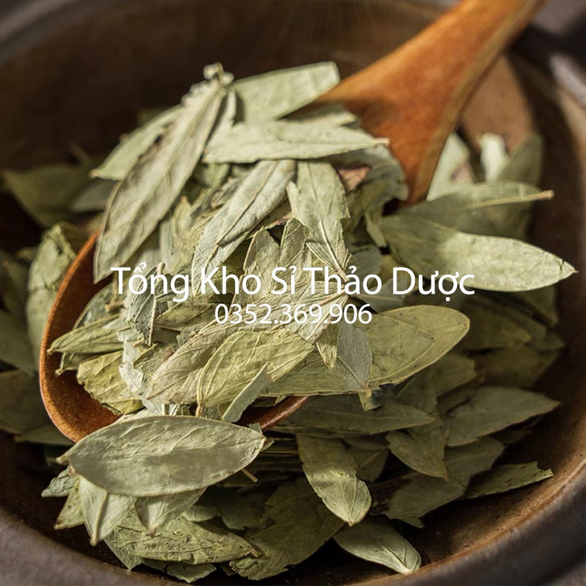 Phan tả diệp 200g