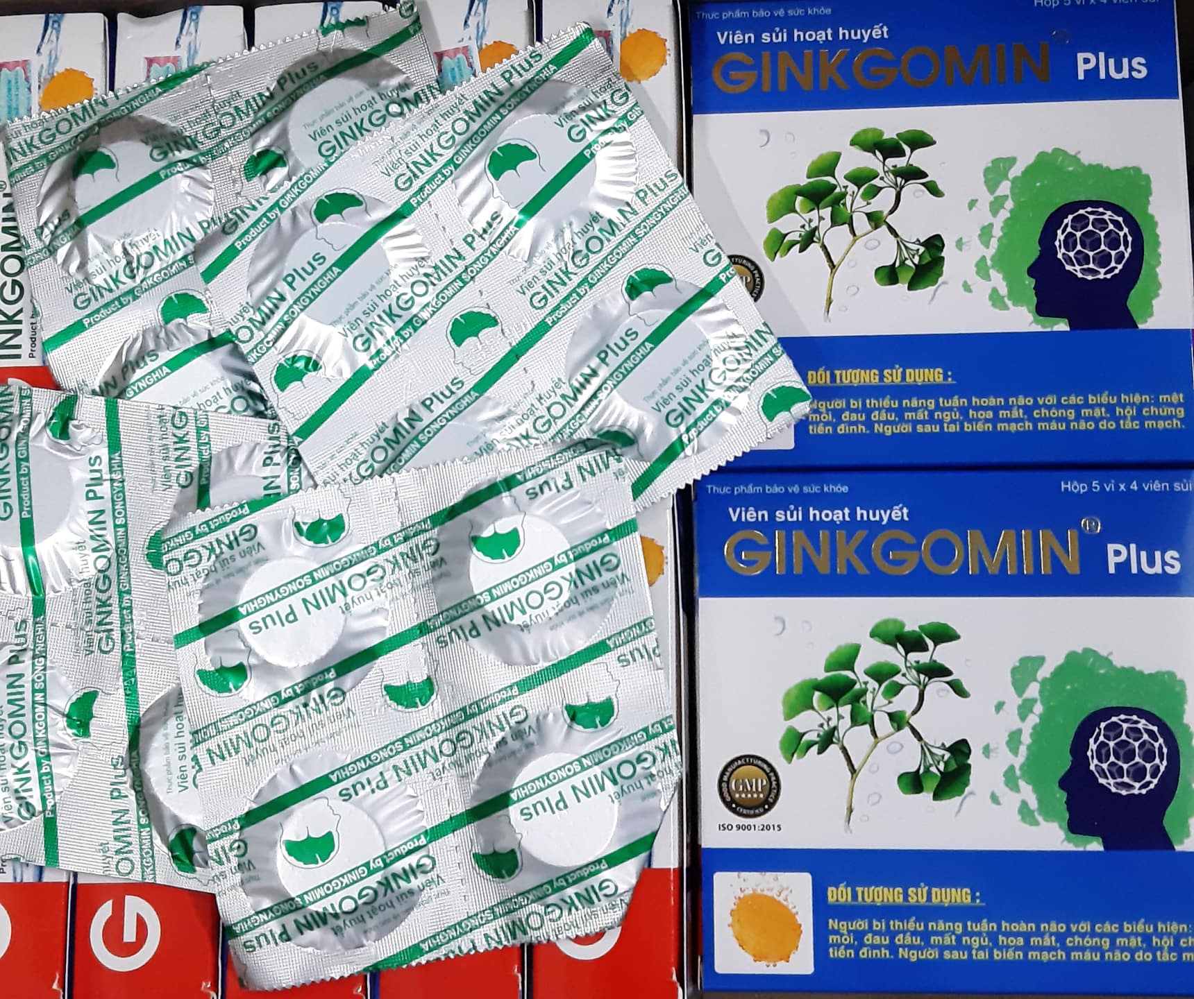 VIÊN SỦI HOẠT HUYẾT GINKGOMIN Plus