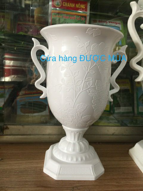 chậu ly hoa hồng 17x28cm.