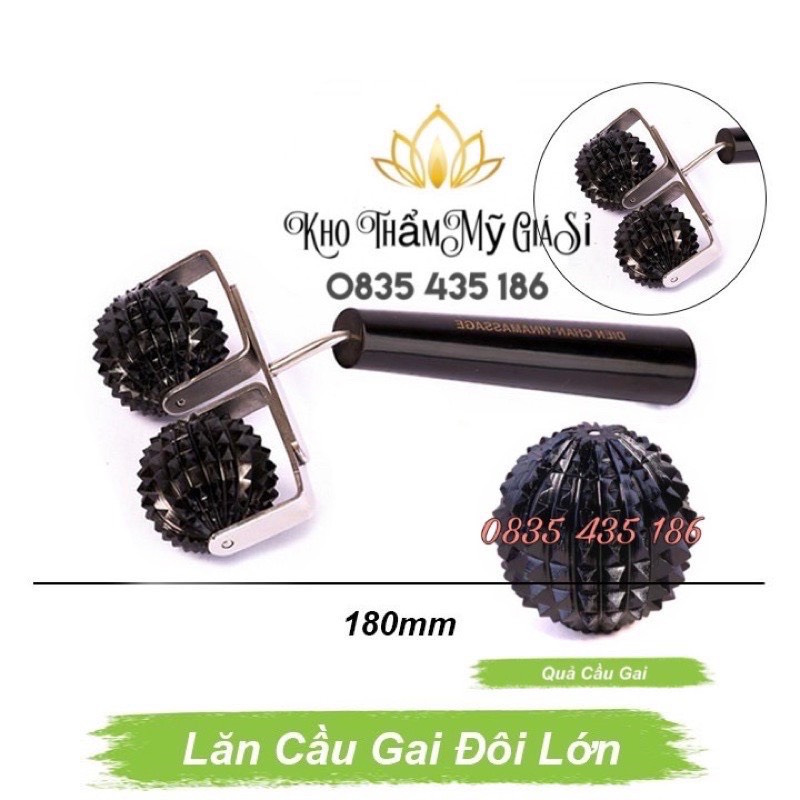 DỤNG CỤ DIỆN CHẨN LĂN CẦU GAI ĐÔI LỚN