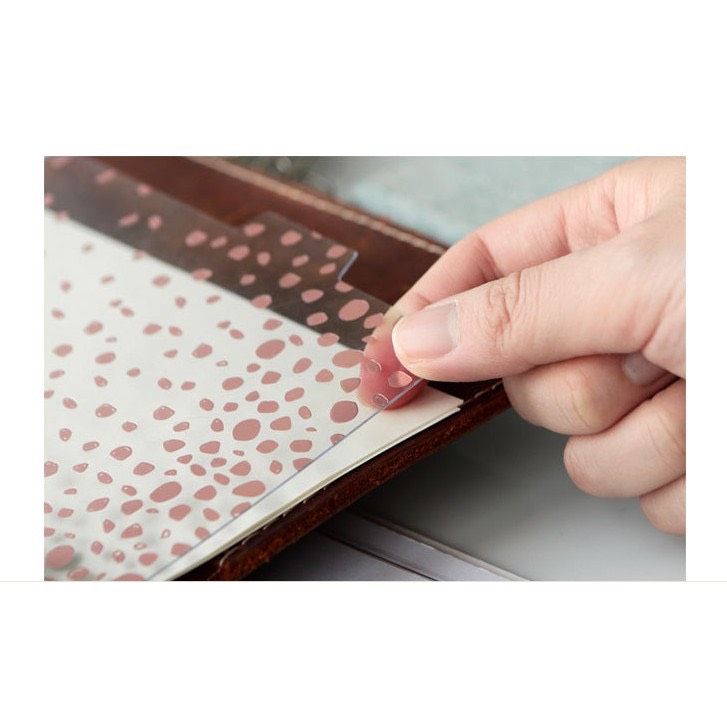 A5/A6 Classification Cover with 6 Holes