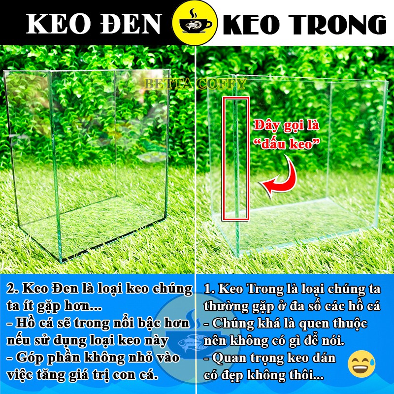 Bể Cá bằng kính mini - Hồ cá Betta (Dấu keo - Keo Đen Trắng)