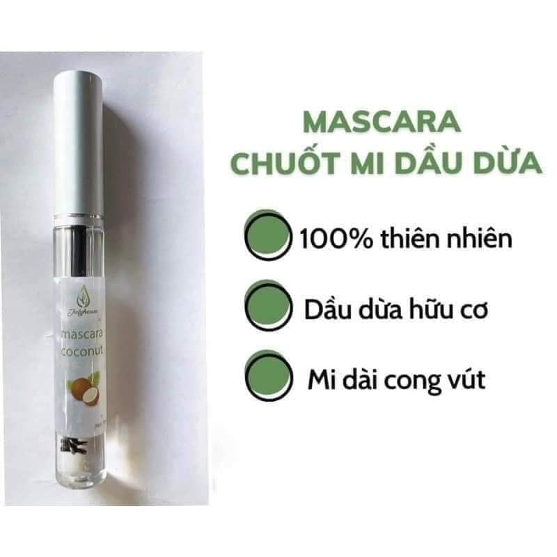 CHUỐT MI DẦU DỪA BẾN TRE