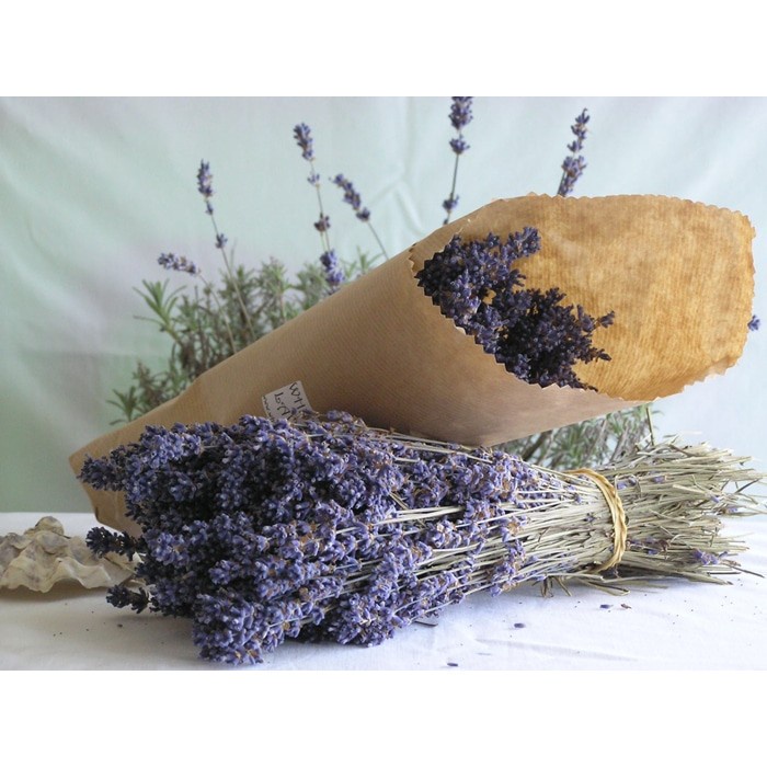 Dầu lăn hương lavender Thái Lan 8ml