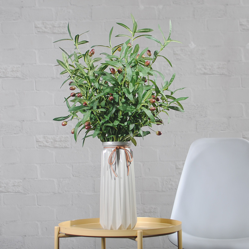 cành oliu - hằng decor