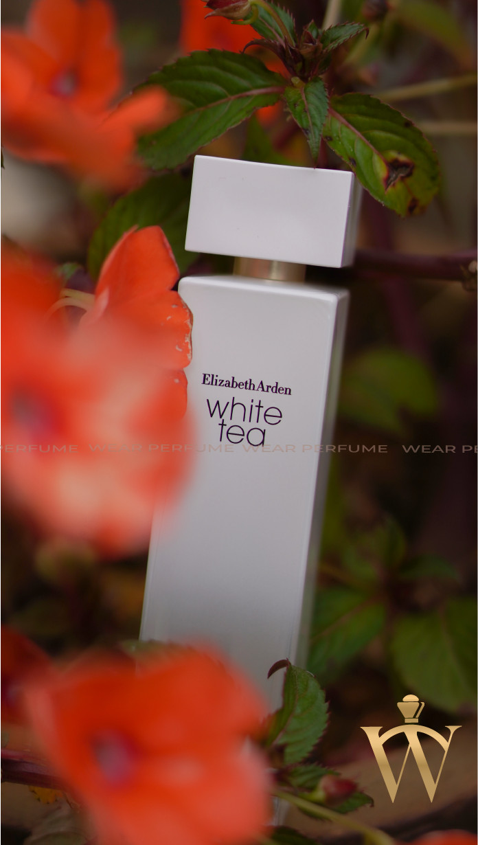 Nước hoa nữ Elizabeth Arden White Tea