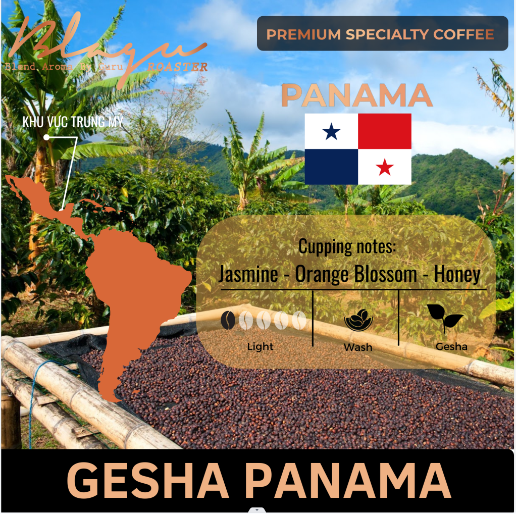 [Premium] Cà Phê Blagu Hạt Đã Rang Panama Boquete - Medium - 250g