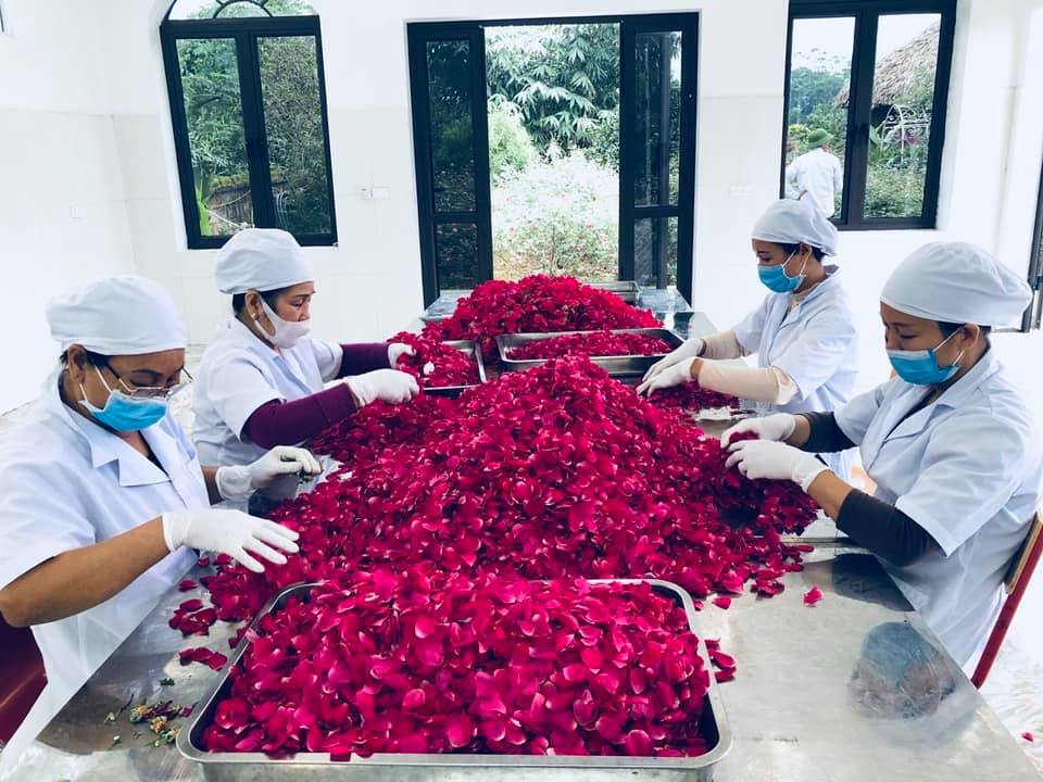 Nước cất hoa hồng Karose (toner) - USDA Organic