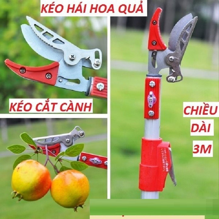 Kéo hái quả - kèo cắt cành trên cao dài 3m- gậy hái hoa quả,kéo cắt quả trên cao dài 3m