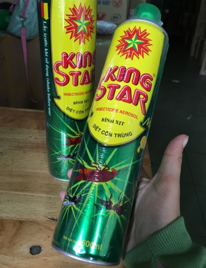 2 Bình xịt muỗi, kiến, côn trùng KING STAR 600ml