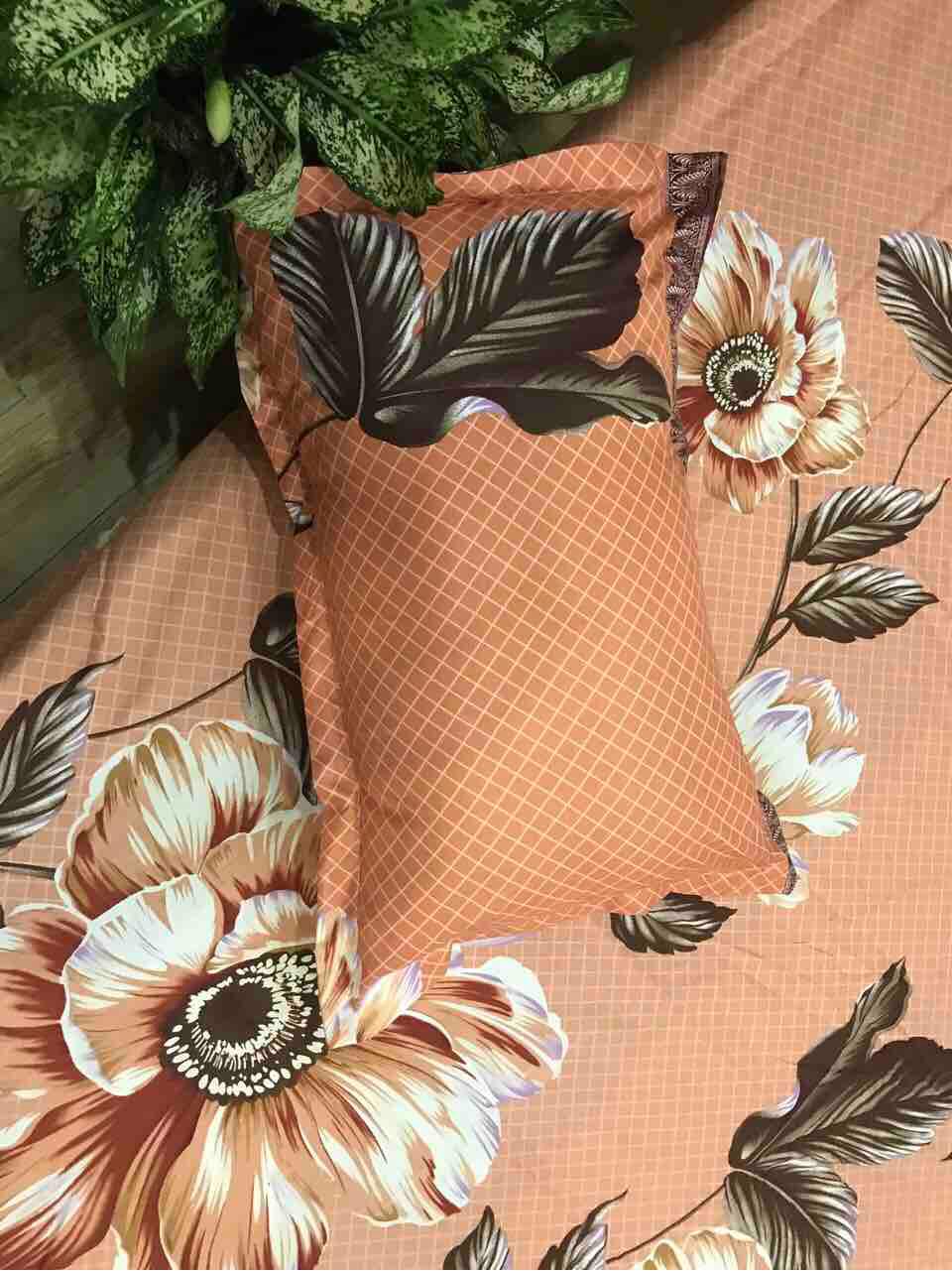 Bộ Ga Gối Cotton Poly - Trà Nâu ( 1 Ga + 2 Vỏ Gối 45x65 )