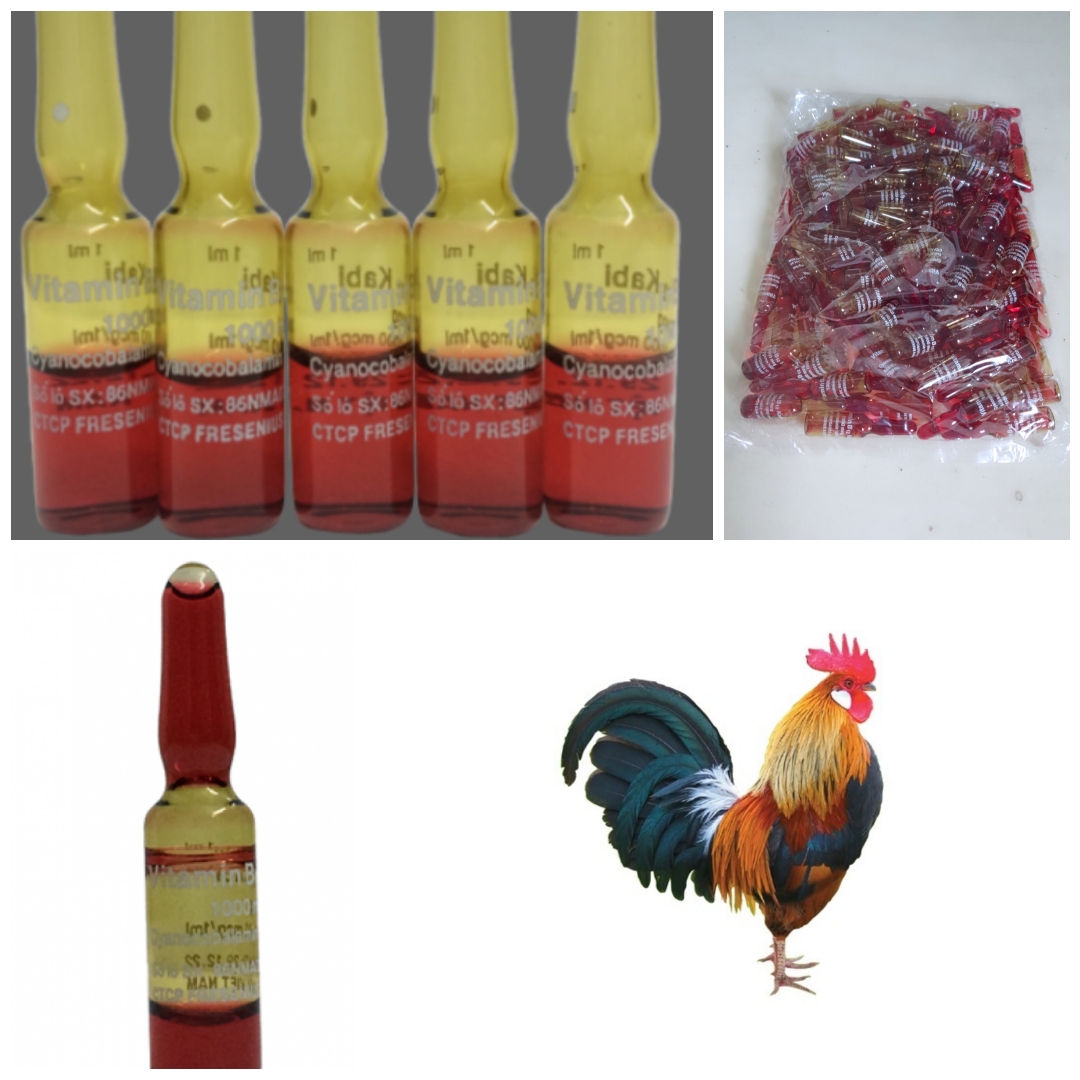 vitamin B12 - 1000mcg (( 100 ống )) -- bổ máu -- hừng gà -- giúp tăng độ sức nét cho gà đá [ bịch 100 lọ ]