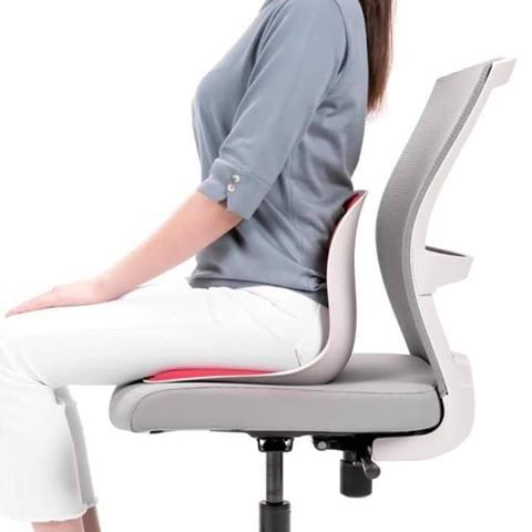 Ghế công thái học - Ghế chống gù cho dân văn phòng và trẻ em, Ghế chống gù,ghế điều chỉnh dáng ngồi giảm đau lưng nhức mỏi