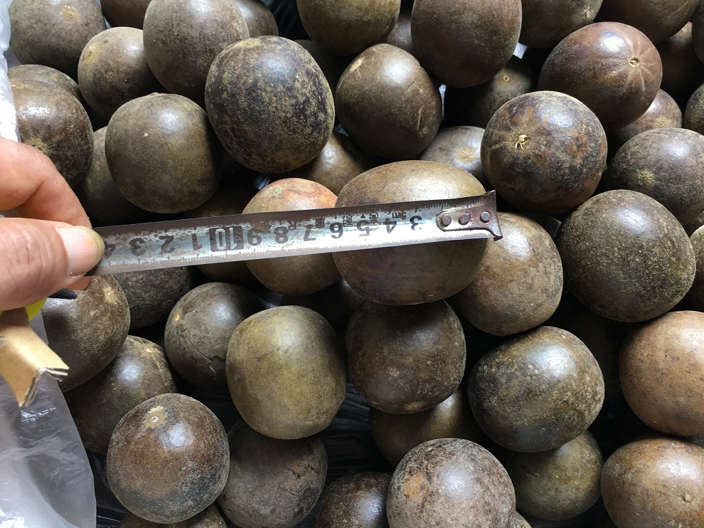 Trà Quả La Hán  Túi x 500g có Tặng Quà