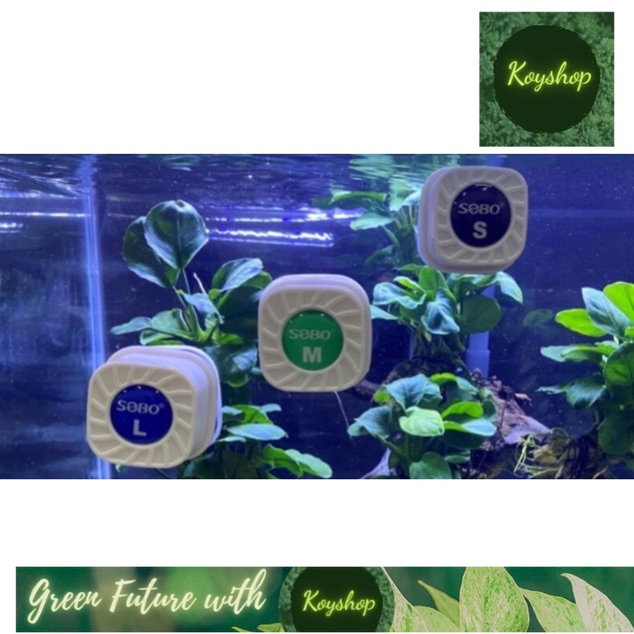 Hít nam châm chà hồ mini sobo