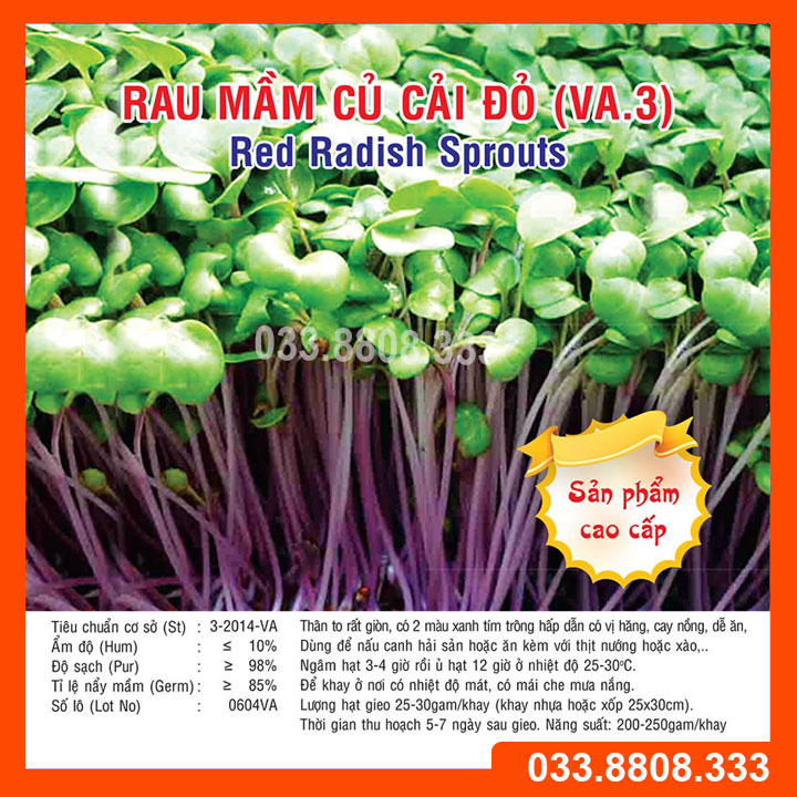 50g hạt giống rau mầm củ cải đỏ nảy mầm tốt