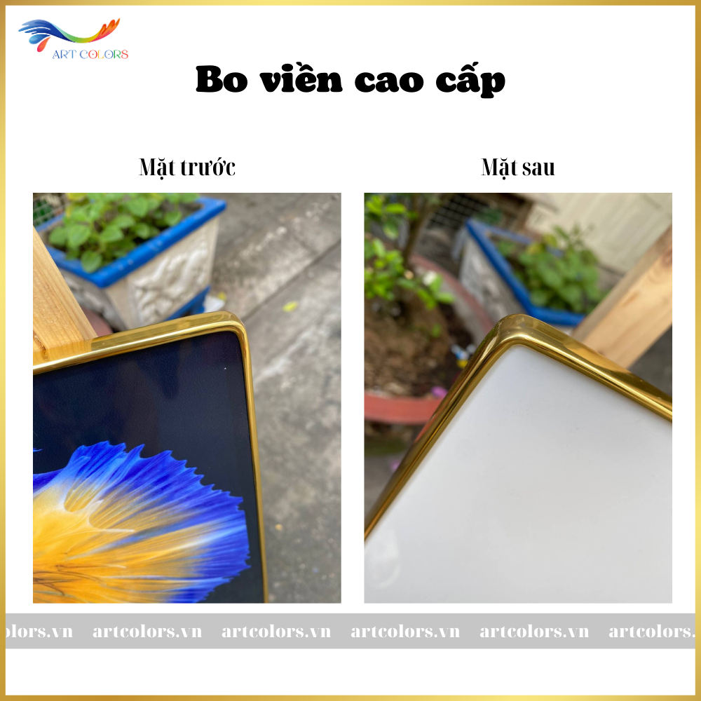 TRANH TRÁNG GƯƠNG CÁ NGHỆ THUẬT - CA1