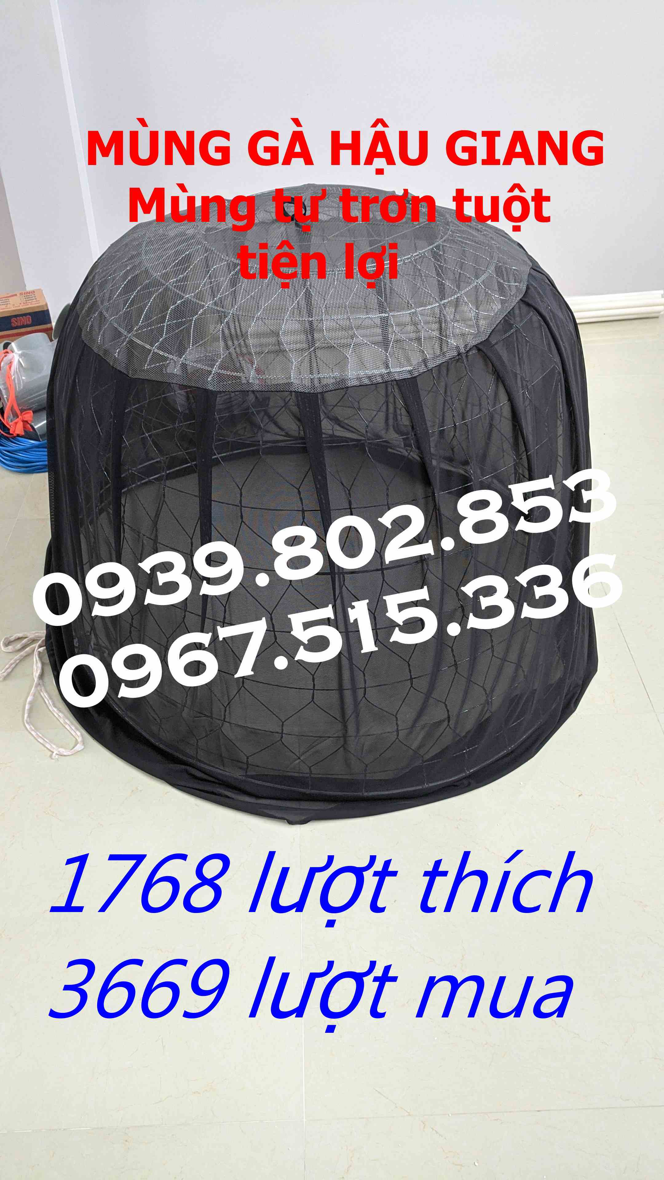 10 mùng trùm bội gà tre 90cm
